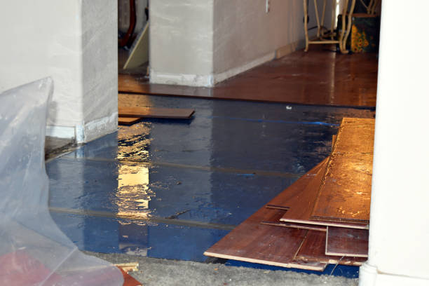 Professional Emergency Water Damage Restoration technician working in Iola, WI